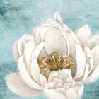 White Peony 1