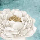 White Peony 2