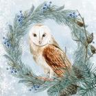 Winter Owl 1