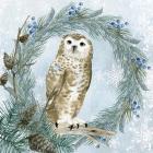 Winter Owl 3