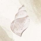 Calming Shell 4