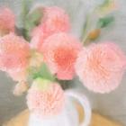 Pink Carnations