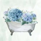 Hydrangea Bath 1