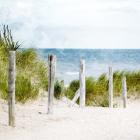 Pathway To The Beach