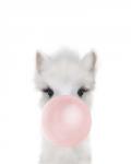 Alpaca Bubble Gum