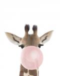 Giraffe Bubble Gum