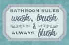 Wash Brush Flush
