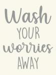 Wash Worries