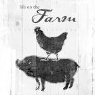 Farm To Chicken Pig Grey