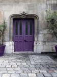 Purple Door 4
