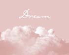 Blush Pink Dream
