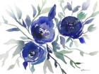 Blue Roses