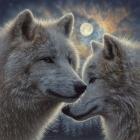 Moonlight Wolf Mates