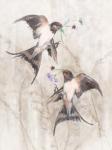 Playful Swallows II