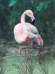 Peach Flamingo II