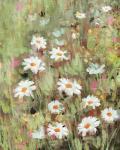 Daisy Field I