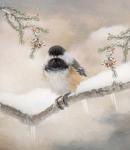 Chilly Chickadee