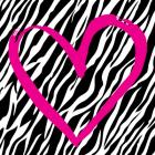 Zebra Love