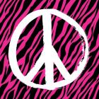 Zebra Peace