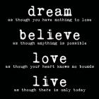 Dream Believe Love Live 2