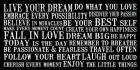 Live Your Dream 6