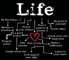 Life Chart 2