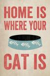 Home is Where Your Cat Is 1