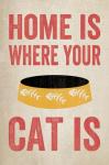 Home is Where Your Cat Is 2