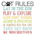 Cat Rules