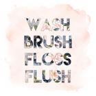 Wash, Brush, Floss, Flush