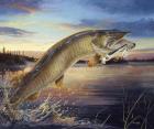 Twilight Muskie