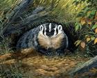 Wisconsin Badger