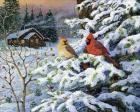 Winters Warm Glow Cardinals