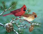 Winter Morning Cardinals