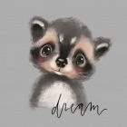 Dream Raccoon