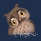 Courageous Owl
