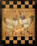 Farm Fresh Eggs I