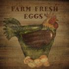 Farm Fresh Eggs