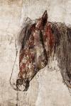Abstract Horse