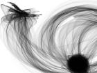 Abstract Black and White 18-06-36