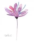 Botanical 31