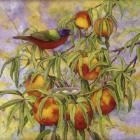Painted Bunting & Peaches