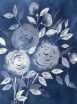 Cyanotype Roses I