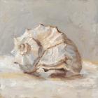 Impressionist Shell Study II