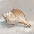 Impressionist Shell Study III