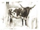 Longhorn Study I