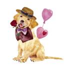 Valentine Puppy V