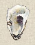 Oyster Shell Study III