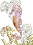 Undersea Creatures II