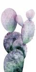 Purple Cactus I